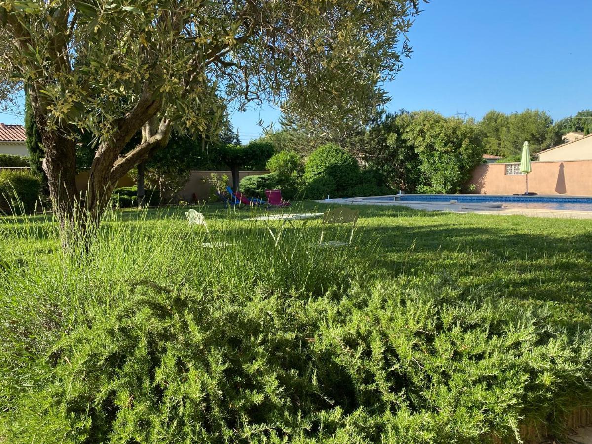 Villa Et Maisonnette Provencales Carpentras Exteriér fotografie